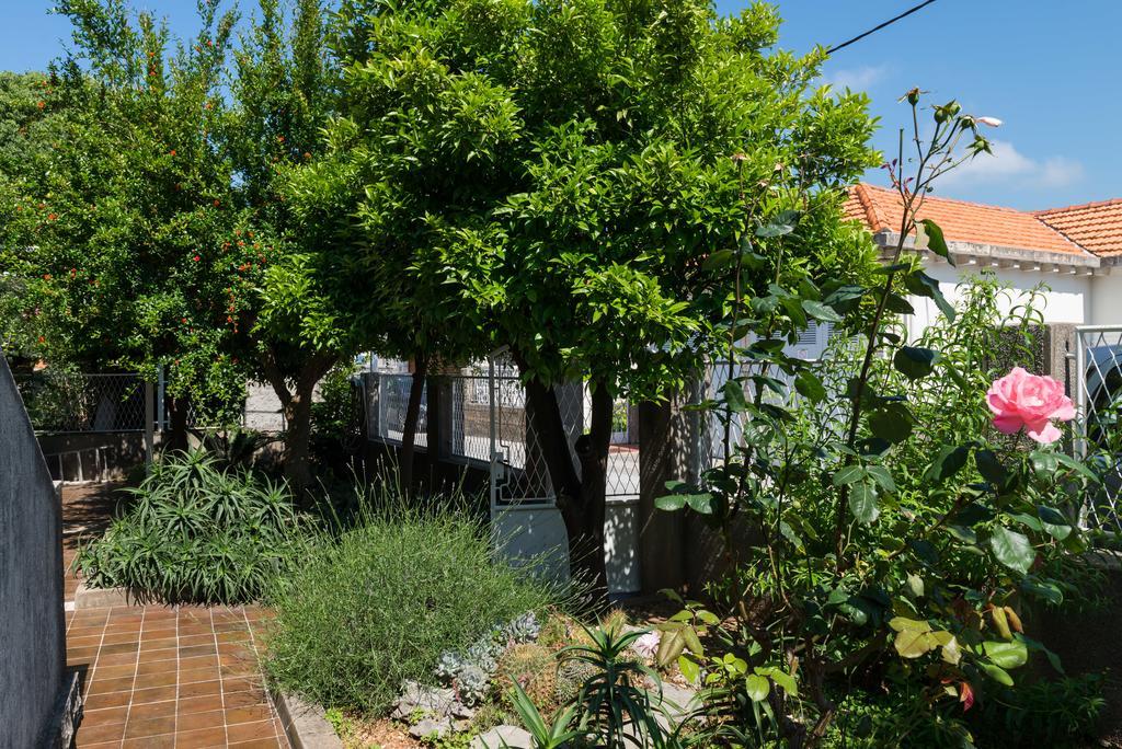 Apartment Veve Dubrovnik Luaran gambar